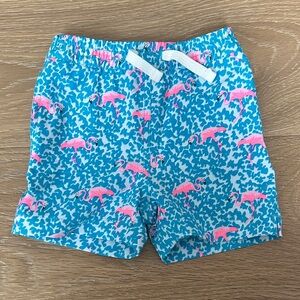 Toddler Blue Flamingo Print Swim Shorts